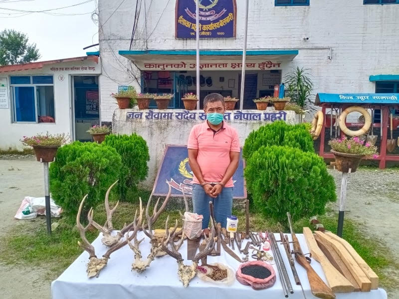 झापा र मोरङबाट २ जना पक्राउ