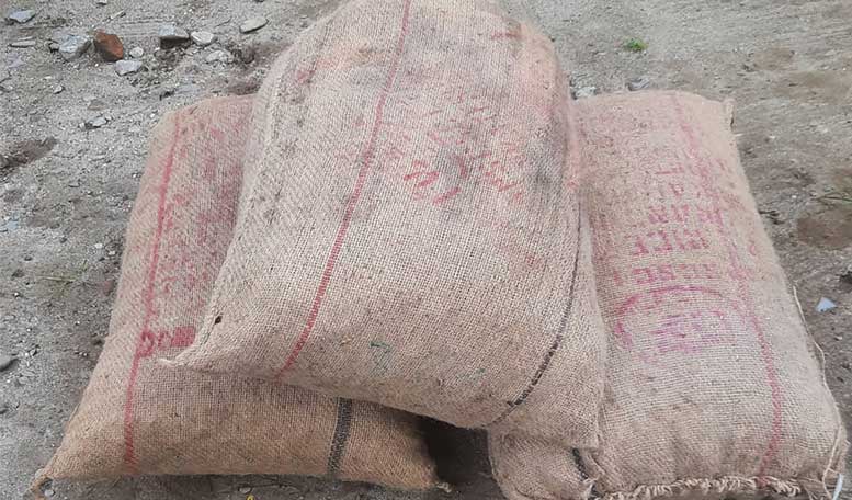 अबैध १ सय ५० केजी सुपारी बरामद