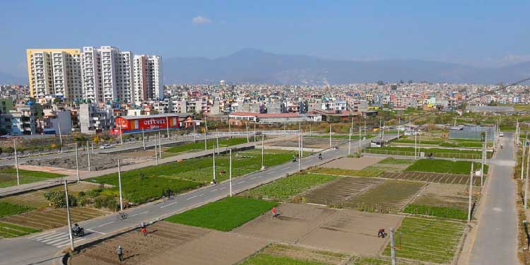 अव घरजग्गा कारोबार गर्न लाइसेन्स अनिवार्य