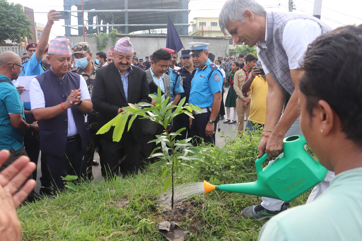 संविधान दिवसमा प्रदेश १ सरकारको वृहत् वृक्षारोपण