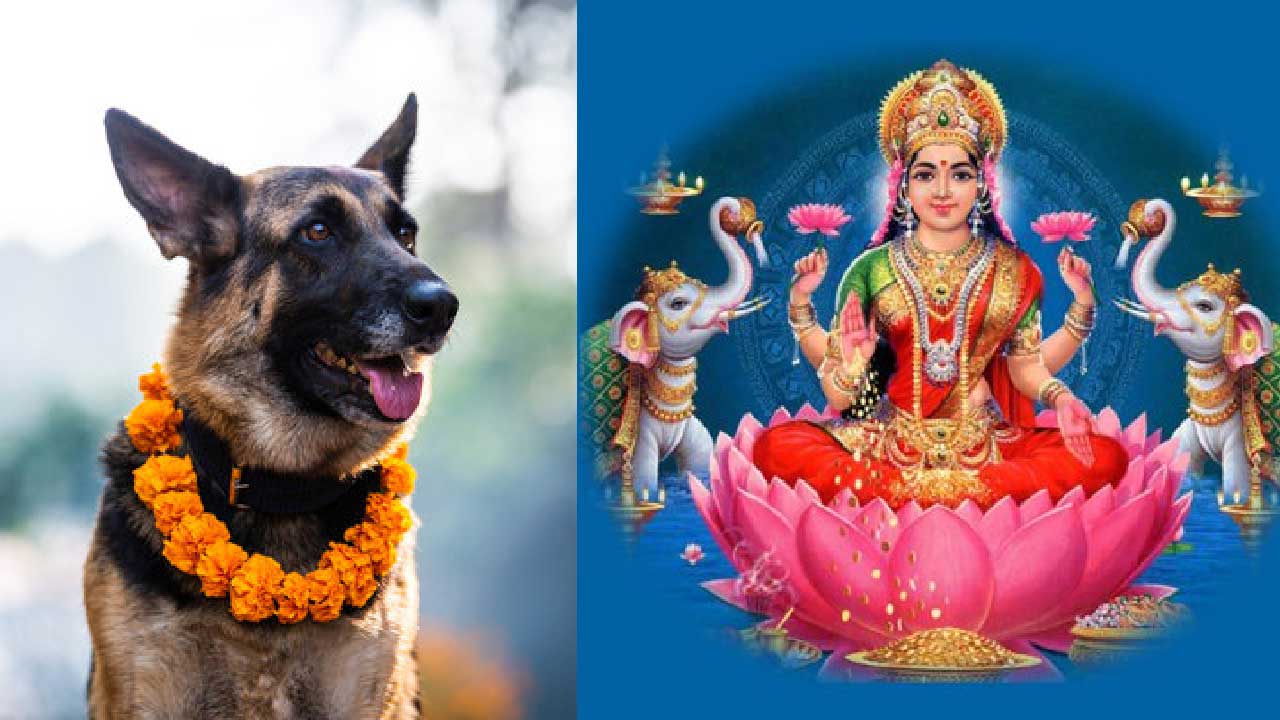विहान कुकुर पूजा र साँझ लक्ष्मी पूजा