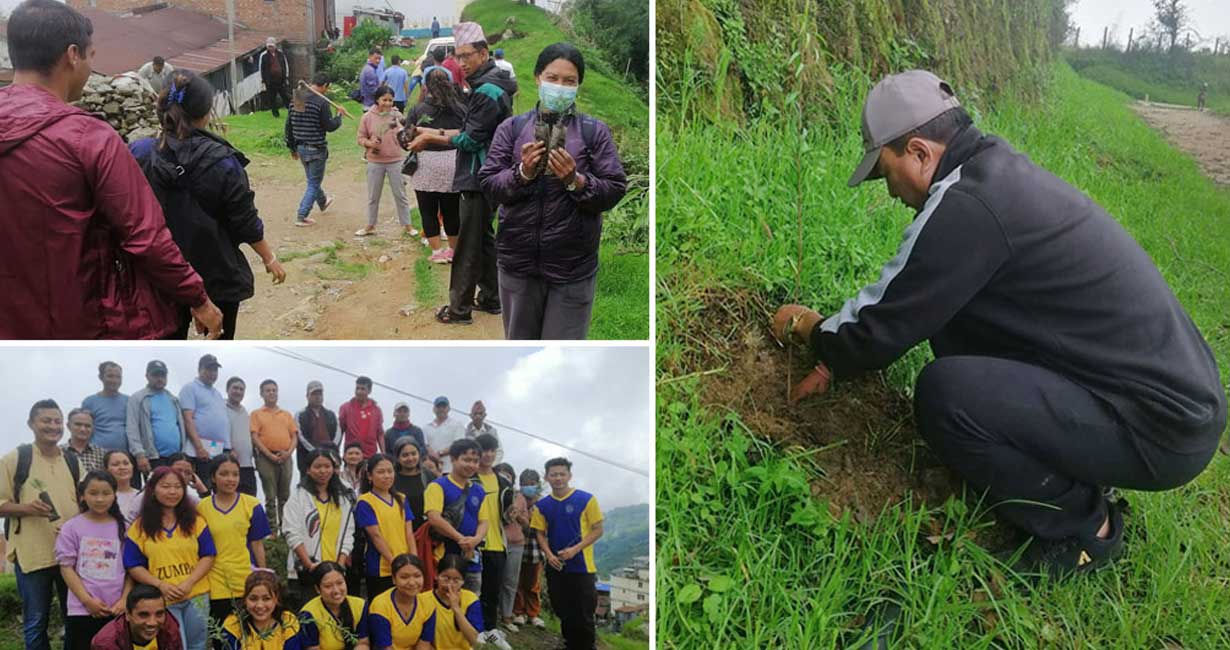 खानेपानी मुहान संरक्षणका लागि धनकुटामा वृक्षरोपण अभियान सुरु