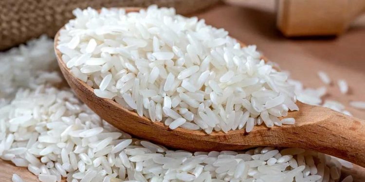 २२ जिल्लामा दुई वर्षभित्र चामलमा आत्मनिर्भर हुन चैते धान खेती कार्यक्रम सञ्चालन