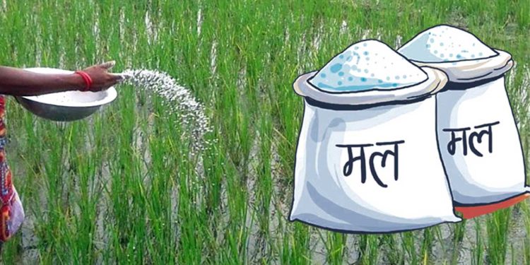 बजेट भाषण: रासयनिक मलको आपूर्ति वृद्धि गरी ६ लाख मेट्रिकटन