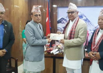 मनमोहन विश्वविद्यालय सेवा आयोगको अध्यक्षमा दामोदर थापा नियुक्त्त